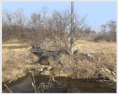  2025Ÿ��51044  �Ӿ߰��