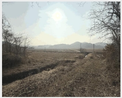  2025Ÿ��51044  �Ӿ߰��