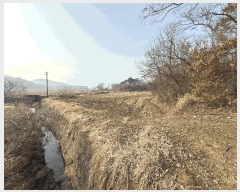  2025Ÿ��51044  �Ӿ߰��