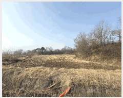  2025Ÿ��51044  �Ӿ߰��