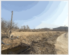  2025Ÿ��51044  �Ӿ߰��