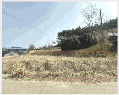  2025Ÿ51117 泲 ¾ȱ ̿  728      (1)