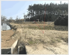  2025Ÿ51117 泲 ¾ȱ ̿  728      (1)