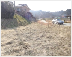  2025Ÿ51117 泲 ¾ȱ ̿  728      (1)