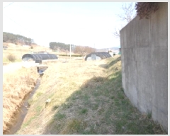  2025Ÿ51117 泲 ¾ȱ ̿  728      (1)