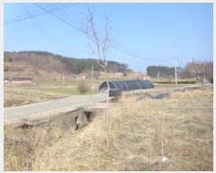  2025Ÿ51117 泲 ¾ȱ ̿  728      (1)