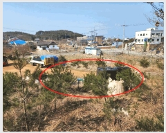  2025Ÿ51128 泲   ׸ 452-52      (Ӿ)