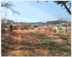  2025Ÿ51128 泲   ׸ 452-52      (Ӿ)