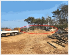  2025Ÿ51128 泲   ׸ 452-52      (Ӿ)