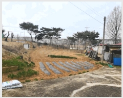  2025Ÿ��51145 �泲 ������ �۾��� ������ 29-5      ����(����)���