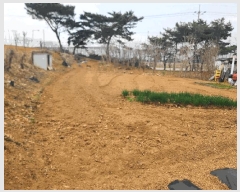  2025Ÿ��51145 �泲 ������ �۾��� ������ 29-5      ����(����)���