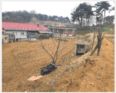  2025Ÿ��51145 �泲 ������ �۾��� ������ 29-5      ����(����)���