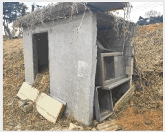  2025Ÿ��51145 �泲 ������ �۾��� ������ 29-5      ����(����)���