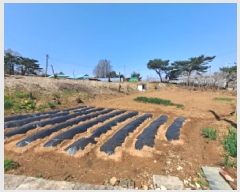  2025Ÿ��51145 �泲 ������ �۾��� ������ 29-5      ����(����)���