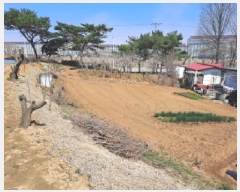  2025Ÿ��51145 �泲 ������ �۾��� ������ 29-5      ����(����)���