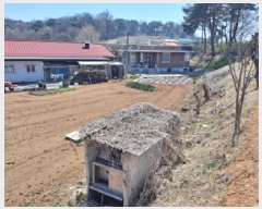  2025Ÿ��51145 �泲 ������ �۾��� ������ 29-5      ����(����)���