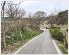  2025Ÿ��51149 �泲 ����� ���� �Ϳ츮 668-2      ����(�Ӿ�)���