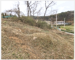  2025Ÿ��51149 �泲 ����� ���� �Ϳ츮 668-2      ����(�Ӿ�)���