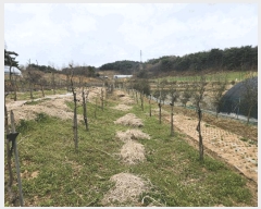  2025Ÿ��51149 �泲 ����� ���� �Ϳ츮 668-2      ����(�Ӿ�)���