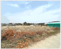  2025Ÿ��51179 �泲 �¾ȱ� ���� �ſ¸� 168-36      ����(�Ӿ�)���