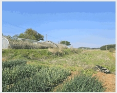  2025Ÿ��51241  ����