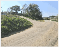  2025Ÿ��51241  ����