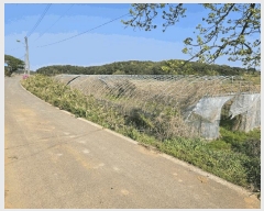  2025Ÿ��51241  ����