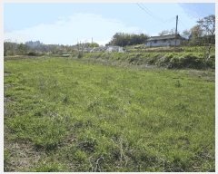  2025Ÿ��51241  ����