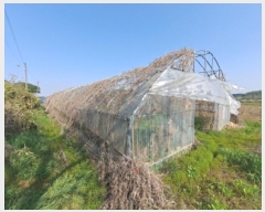  2025Ÿ��51241  ����