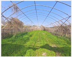  2025Ÿ��51241  ����