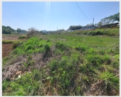  2025Ÿ��51241  ����