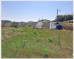  2025Ÿ��51241  ����