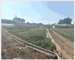  2025Ÿ��51256 �泲 ������ �찭�� �ۻ긮 52      ����(��)���