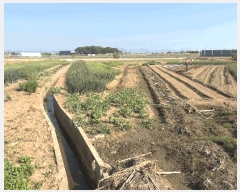  2025Ÿ��51256 �泲 ������ �찭�� �ۻ긮 52      ����(��)���