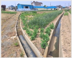  2025Ÿ��51256 �泲 ������ �찭�� �ۻ긮 52      ����(��)���