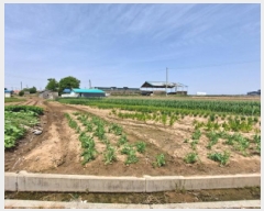  2025Ÿ��51256 �泲 ������ �찭�� �ۻ긮 52      ����(��)���