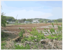  2025Ÿ��51267 �泲 ������ �۾��� ��� 57-1      ����(��)���