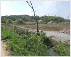  2025Ÿ��51267 �泲 ������ �۾��� ��� 57-1      ����(��)���