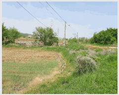  2025Ÿ��51267 �泲 ������ �۾��� ��� 57-1      ����(��)���