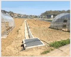  2025Ÿ��51279 �泲 ����� �μ��� �������� 156-1      ����(��1)���