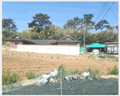  2025Ÿ��51279 �泲 ����� �μ��� �������� 156-1      ����(��1)���