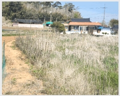  2025Ÿ��51279 �泲 ����� �μ��� �������� 156-1      ����(��1)���