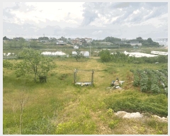  2025Ÿ��51299 �泲 ������ ����� �Ż긮 1-276      ����(������)���