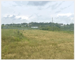  2025Ÿ��51299 �泲 ������ ����� �Ż긮 1-276      ����(������)���