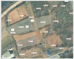  2025Ÿ��51299 �泲 ������ ����� �Ż긮 1-276      ����(������)���