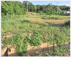  2025Ÿ��51299 �泲 ������ ����� �Ż긮 1-276      ����(������)���