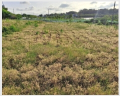  2025Ÿ��51299 �泲 ������ ����� �Ż긮 1-276      ����(������)���