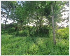  2025Ÿ��51326 �泲 ������ �۾��� ��� 233-4      ����(�Ӿ�)���