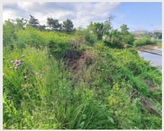  2025Ÿ��51326 �泲 ������ �۾��� ��� 233-4      ����(�Ӿ�)���