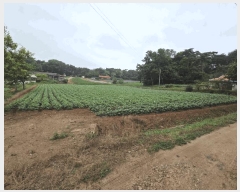  2025Ÿ��51330  �����